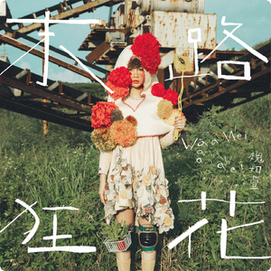 霸道太子爷小蓝视频在线观看全集
