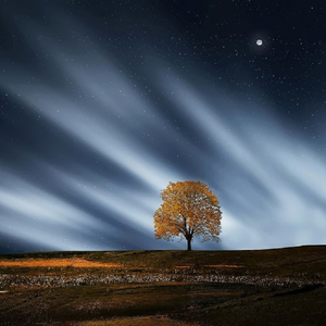 霸道太子爷小蓝视频在线观看全集
