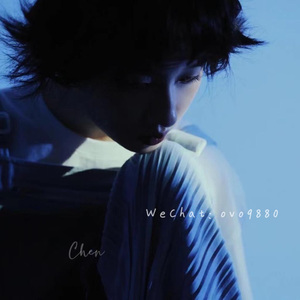 霸道太子爷小蓝视频在线观看全集
