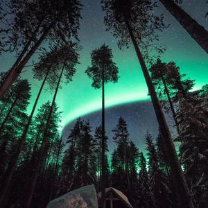 霸道太子爷小蓝视频在线观看全集
